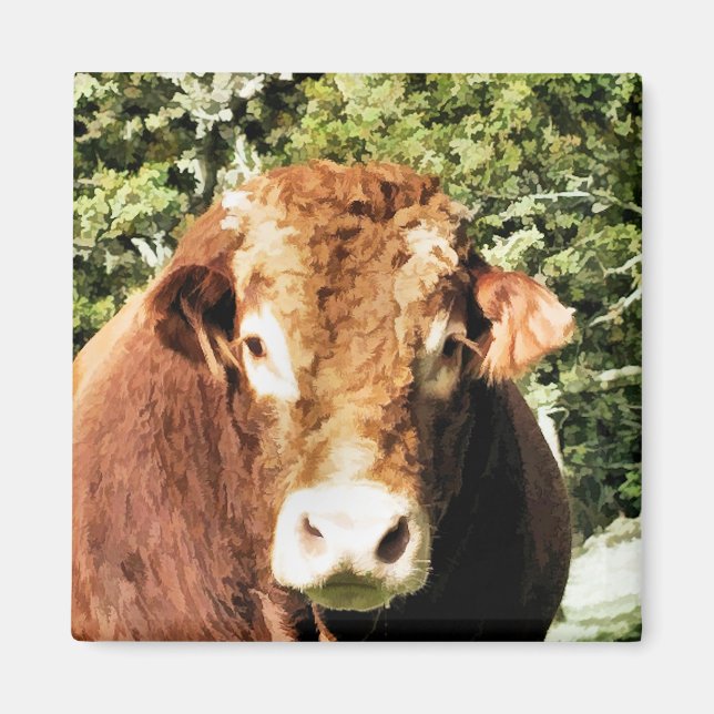 ÍMAN A CULPA (Frente)