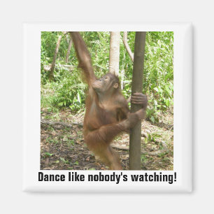 Íman A dança gosta de ninguém olhar inspirador