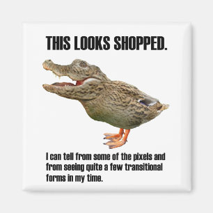 Íman A decepção de Crocoduck