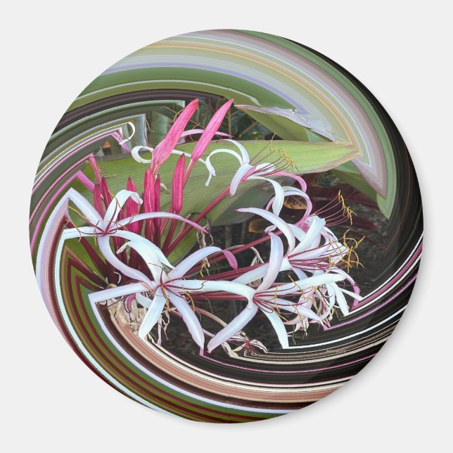 Íman A espreitar..... (Frente)