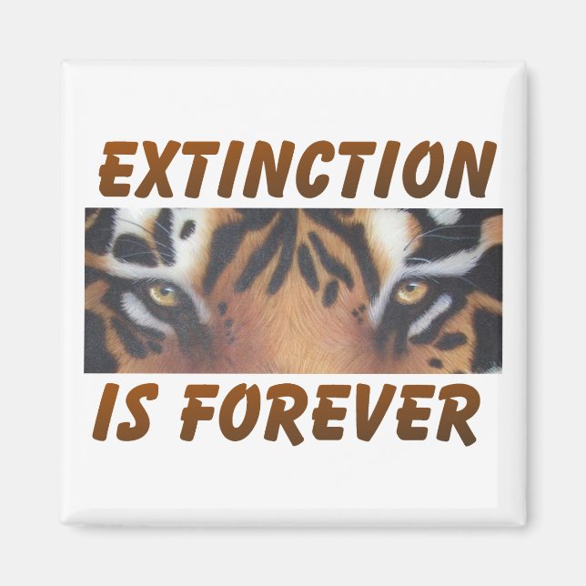 Íman A extinção é para sempre (Frente)