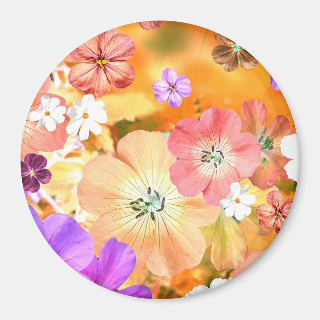 Íman A fada sairá logo 3 (Frente)