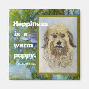 Íman A felicidade é uma panela quente