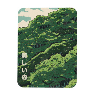 Íman A Floresta Bonita