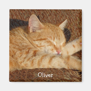 Íman A foto do animal de estimação personalizado