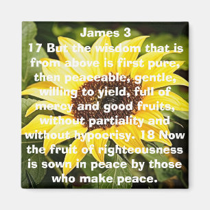 Íman a fruta do girassol do verso da bíblia da rectid