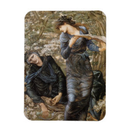 Íman A invasão de Merlin (Edward Burne-Jones) por Vivie