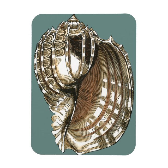 Íman A Joia do Oceano (Vertical)