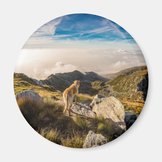 Íman A jornada (Frente)