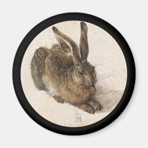 Íman A Leitura Jovem