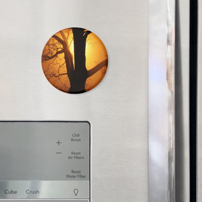 Íman A Lua de outono brilhando através da árvore (In Situ (Fridge))