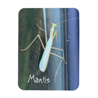 Íman A Mantis