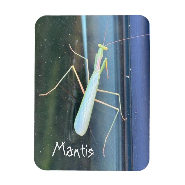 Íman A Mantis (Vertical)