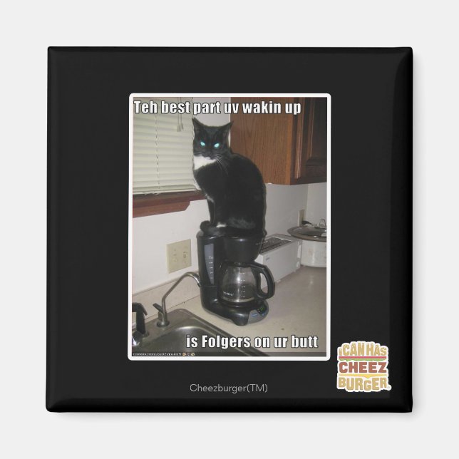 Íman a melhor parte do uv desperta (Frente)