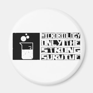 Íman A microbiologia sobrevive