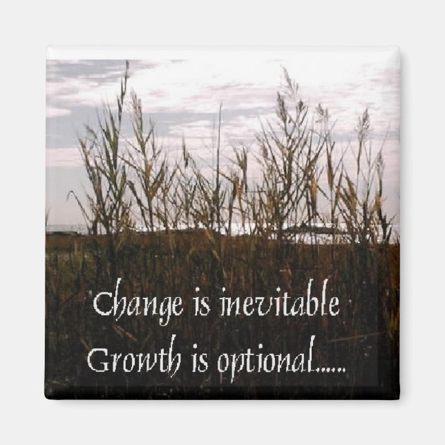 Íman A mudança é inevitável (Frente)