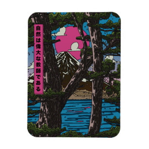 Íman A natureza é professora de excelentes