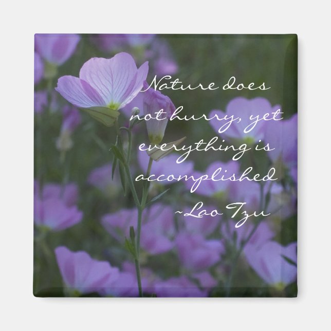 Íman a natureza não se apressa (Frente)