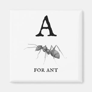 Íman "A" para Ant 