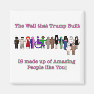 Íman A Parede que Trump Construiu