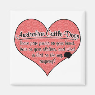 Íman A pata australiana do cão do gado imprime o humor