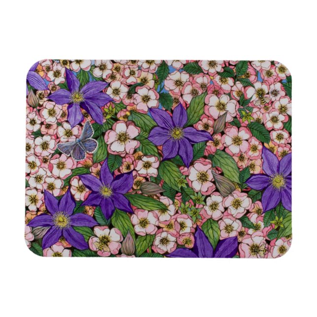 Íman A Purple Patch 2011 (Horizontal)