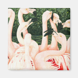 Íman A Rosa - Flamingos