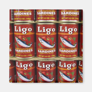 Íman A sardinha de Ligo pode ímã