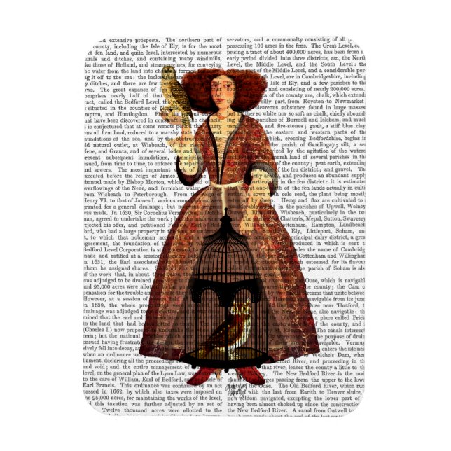 Íman A Senhora Coruja (Vertical)