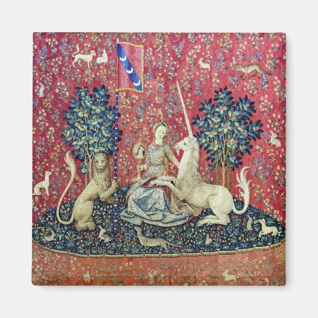 Íman A Senhora e o Unicórnio, Visão (Frente)