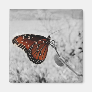 Íman A senhora no lago