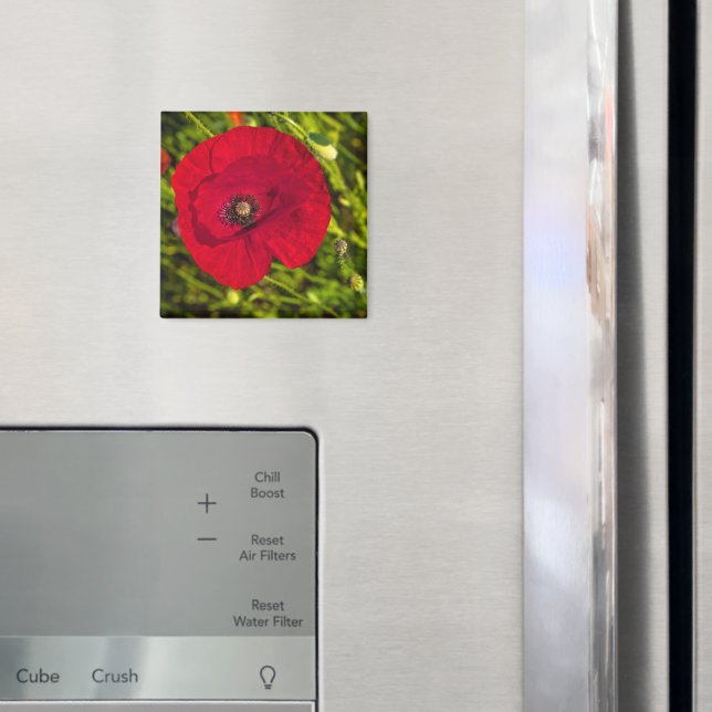 Íman A série de papoila nº 2 (In Situ (Fridge))