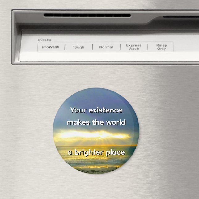 Íman "A Sua Existência Torna o Mundo um Lugar Mais Bril (In Situ (Dishwasher))