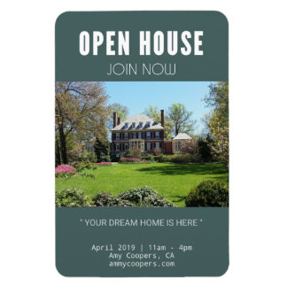 Íman A tocha da Liberty pisca (3" x ímã de 4")