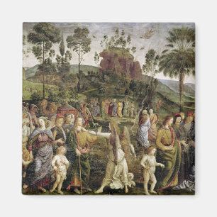 Íman A viagem de Moses, c.1481-83