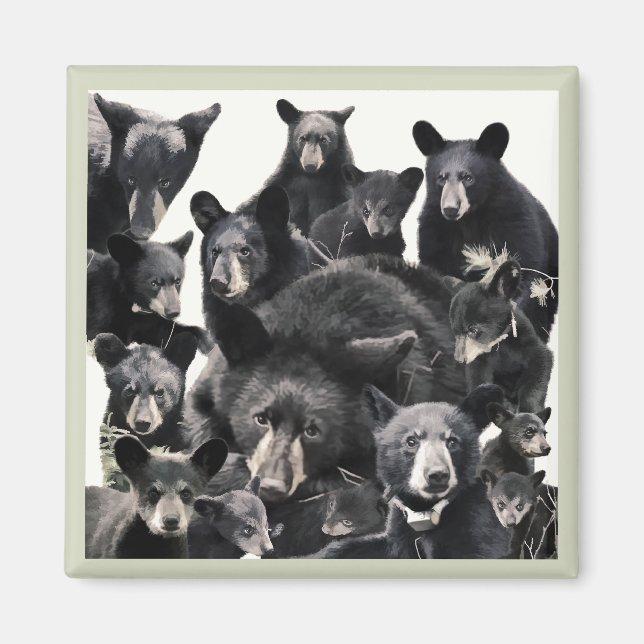 Íman A vida da esperança (Frente)