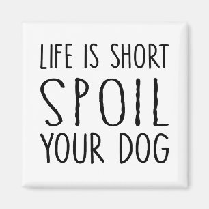 Íman A vida de presente do dono do cão é curta.