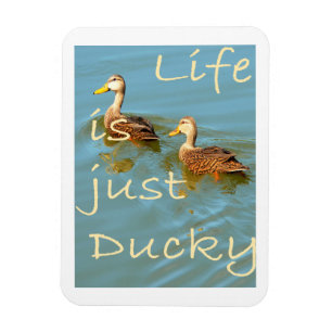 Íman A vida é apenas Ducky Mottled Ducks Magnet