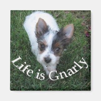 Íman A vida é banal