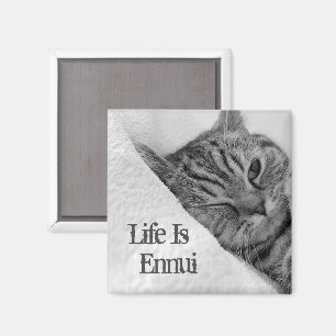 Íman A vida é Ennui, Tabby Cat Deitado