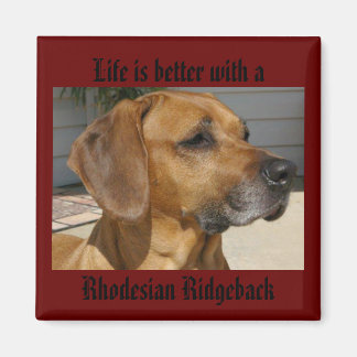 Íman A vida é melhor com um RIDGEBACK MAGNET RHODESIAN