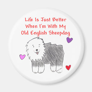 Íman A vida inglesa velha do Sheepdog é apenas melhor