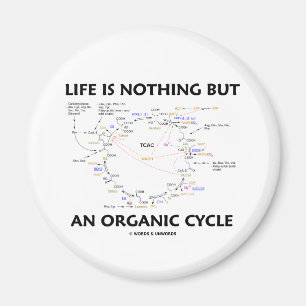 Íman A vida não é nada mas um ciclo orgânico (o cicl