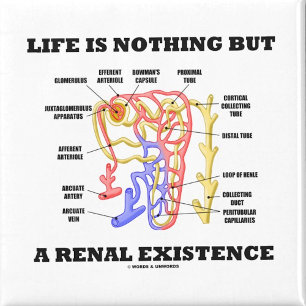 Íman A vida não é nada mas uma existência renal