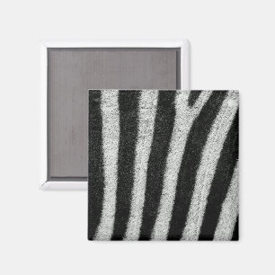 Íman A zebra listra o ímã