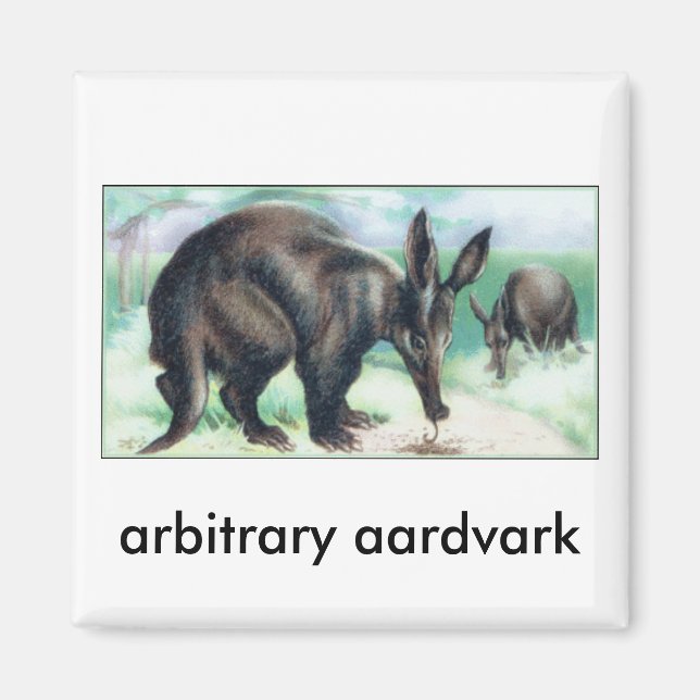 Íman aardvark arbitrário (Frente)