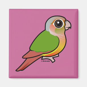 Íman Abacaxi Conure Verde-cheeked de Birdorable