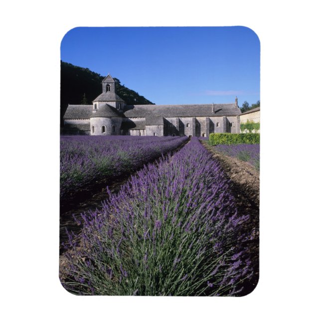 Íman Abadia de Senanque, Gordes, Vaucluse, Provença, (Vertical)