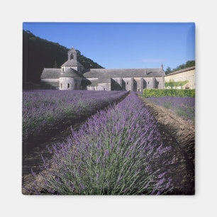 Íman Abadia de Senanque, Gordes, Vaucluse, Provença,