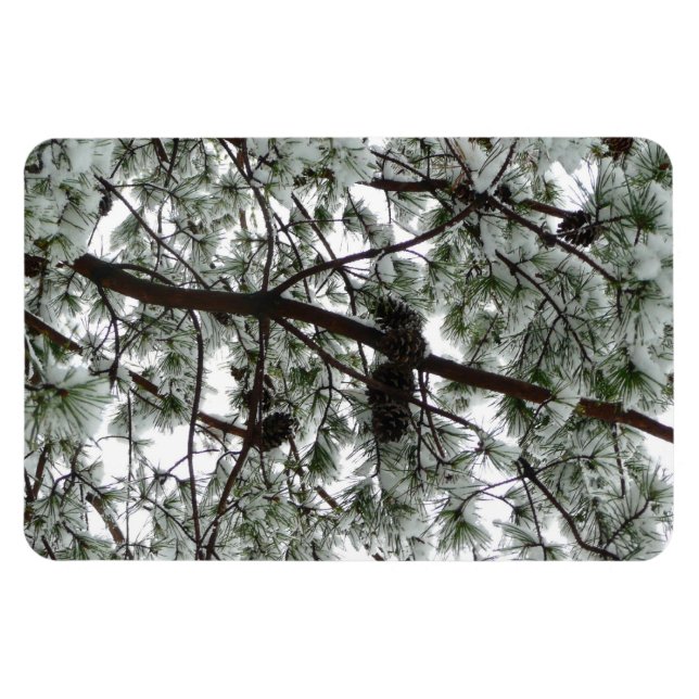 Íman Abaixo da neve coberta pela árvore de pinheiro Fot (Horizontal)